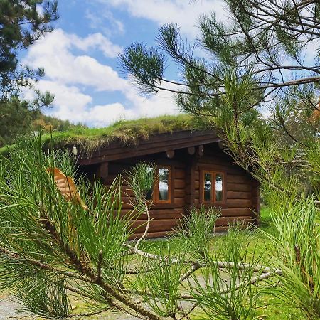 Log Home Village Ulverston Eksteriør bilde