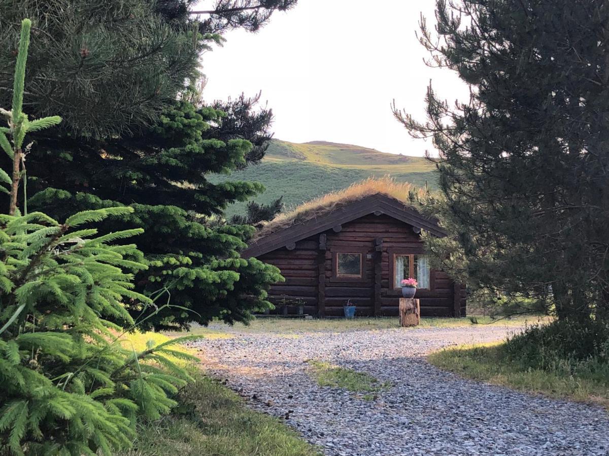 Log Home Village Ulverston Eksteriør bilde